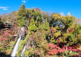 【一万坪の色づく紅葉スポット】